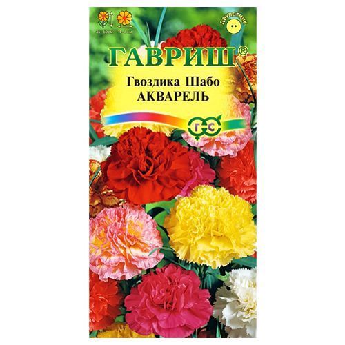 ������ ������ �������� ������� ���� ��������, ����� ������� ������   ����