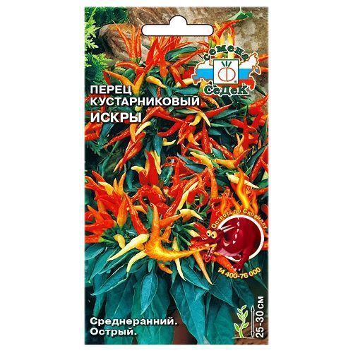 ������ ������ ����� ������������� ����� �����   ����