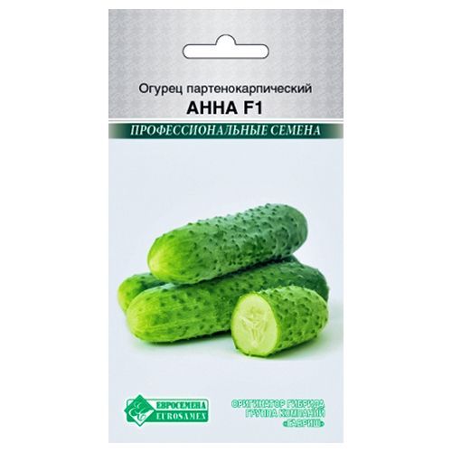 ������ ������ ������ ���� F1 ����������   ����