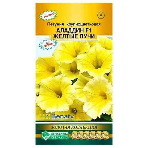 ������ ������ ������� ��������������� ������� F1 ������ ���� ����������   ����