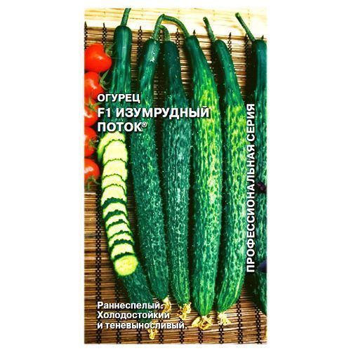 ������ ������ ������ ���������� ����� F1 �����   ����