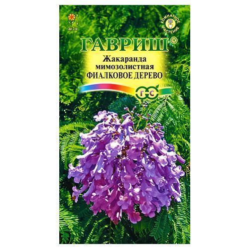 ������ ������ ��������� ��������� ������ ������   ����