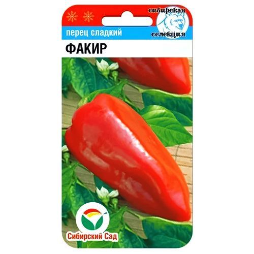 ������ ������ ����� ������� ����� ��������� ���   ����