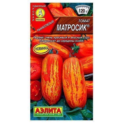 ������ ������ ����� �������� ������   ����