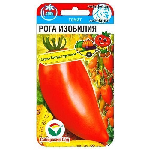 ������ ������ ����� ���� �������� ��������� ���   ����