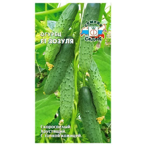 ������ ������ ������ ������ F1 �����   ����