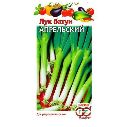 ������ ������ ��� ����� ���������� ������   ����