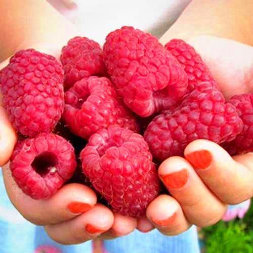 ������ ������ ������ ������������� ������ ������   ����