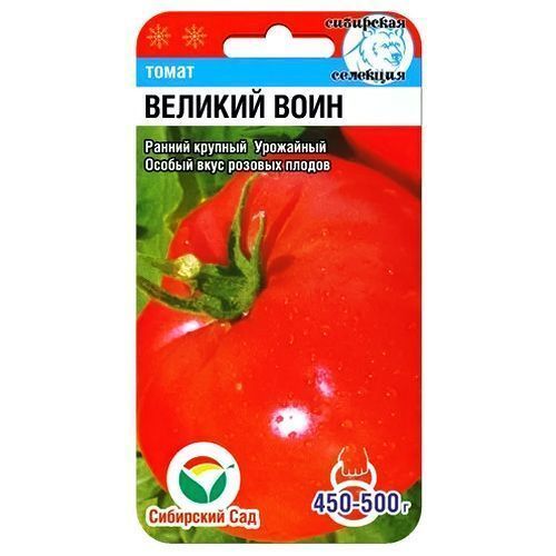 ������ ������ ����� ������� ���� ��������� ���   ����