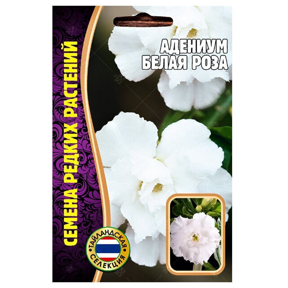 ������ ������ ������� ����� ���� ������ ������   ����