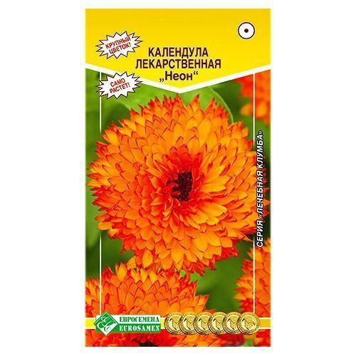 ������ ������ ��������� ������������� ���� ����������   ����