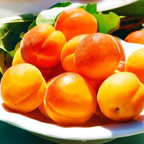 ������ ������ ������� �����������   ����