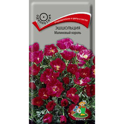 ������ ������ ��������� ��������� ������   ����