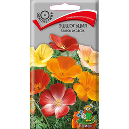 ������ ������ ��������� ����� �������   ����