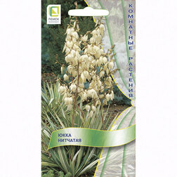 ������ ������ ���� ��������   ����