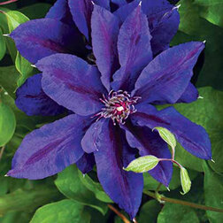 ������ ������ �������� ��������������� ���������   ����