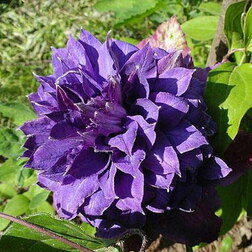 ������ ������ �������� ��������������� ������ ������   ����