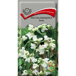 ������ ������ ������ �������� �����   ����