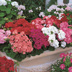 ������ ������ ���������� ��������� ���������� ���� (1��-100��) ���������������� ������   ����