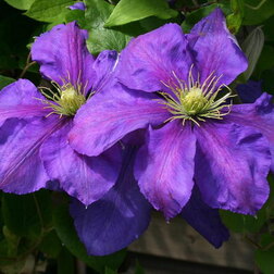 ������ ������ �������� ��������������� ������� ��������   ����