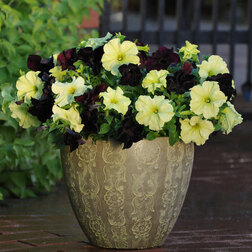 ������ ������ ������� ����������� ��������� ��������� ��� ���� ���� (1��-100�����) ���������������� ������   ����