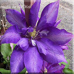 ������ ������ �������� ��������������� ������� �������   ����