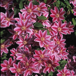 ������ ������ �������� ��������������� ������ ������   ����