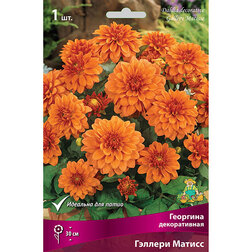 ������ ������ �������� ������������ ������� ������   ����