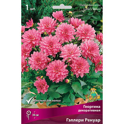 ������ ������ �������� ������������ ������� ������   ����