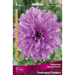 ������ ������ �������� ������������ �������� ������   ����