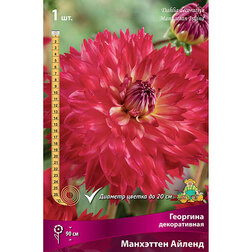 ������ ������ �������� ������������ ��������� ������   ����