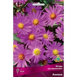 ������ ������ ����� ������������� ������   ����