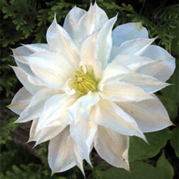 ������ ������ �������� ��������������� �����   ����