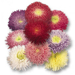 ������ ������ ����� ������ �������� ���� (1 ��-1000��) ���������������� ������   ����