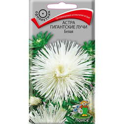 ������ ������ ����� ���������� ���� �����   ����