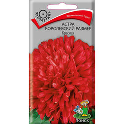 ������ ������ ����� ����������� ������ �������   ����