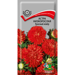 ������ ������ ����� ����������� ������� ����   ����