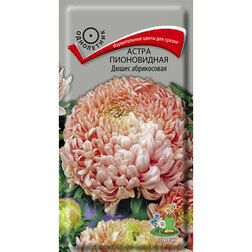 ������ ������ ����� ����������� ����� �����������   ����