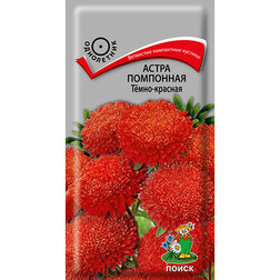 ������ ������ ����� ��������� Ҹ���-�������   ����