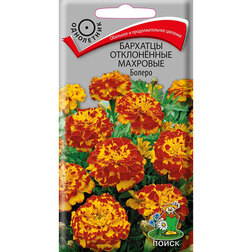 ������ ������ �������� ����������� �������� ������   ����