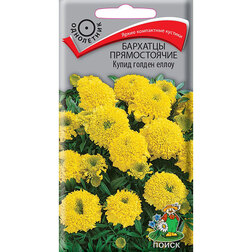 ������ ������ �������� ������������ ����� ������ �����   ����