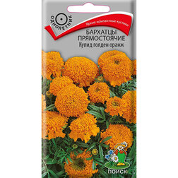 ������ ������ �������� ������������ ����� ������ �����   ����