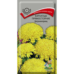 ������ ������ �������� ������������ �������������   ����