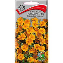 ������ ������ �������� ������������ ��������� ��������   ����