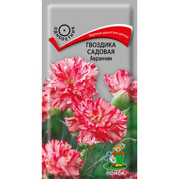 ������ ������ �������� ������� ��������   ����