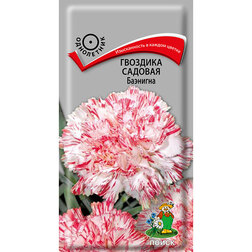 ������ ������ �������� ������� ��������   ����