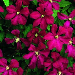 ������ ������ �������� ��������������� ����� ������ ��������   ����