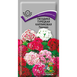 ������ ������ �������� �������� ���������� ��������   ����