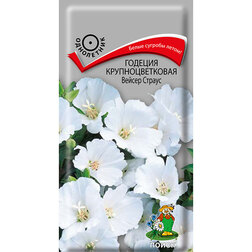 ������ ������ ������� ��������������� ������ ������   ����