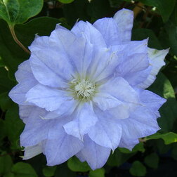 ������ ������ �������� ��������������� ������   ����